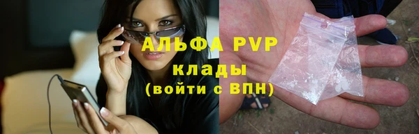 apvp Белокуриха