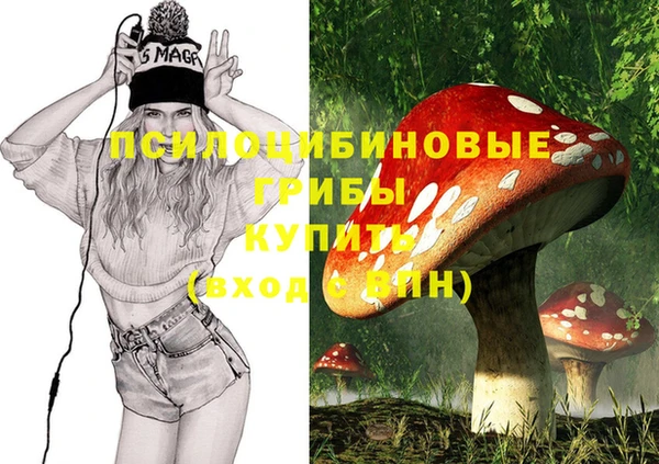 apvp Белокуриха