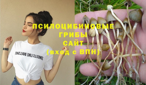 apvp Белокуриха