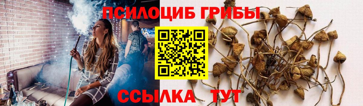 Верхний Уфалей  Псилоцибиновые грибы Psilocybe  Вход с VPN 
